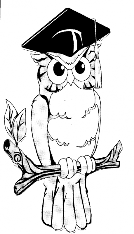 Сова в шапке раскраска