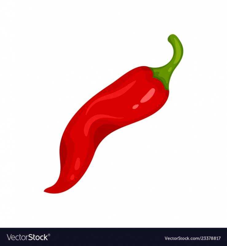 Еда для срисовки перец острый раскраска