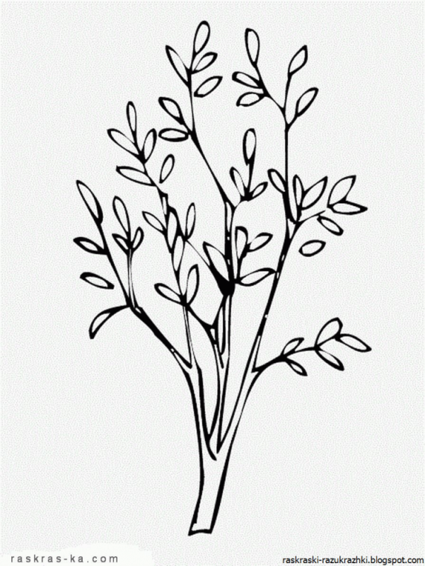 Ветка раскраска для детей