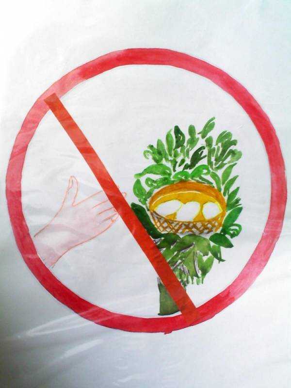 Дорожные знаки для раскрашивания