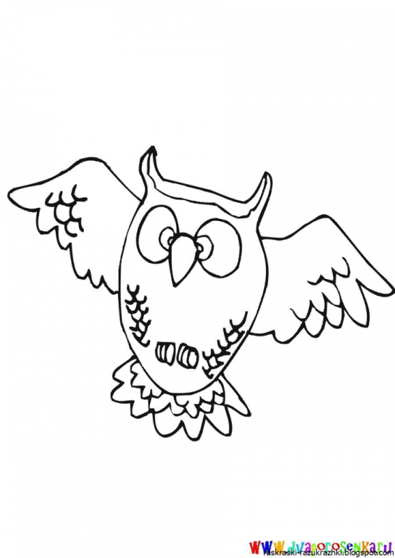 Сова раскраска