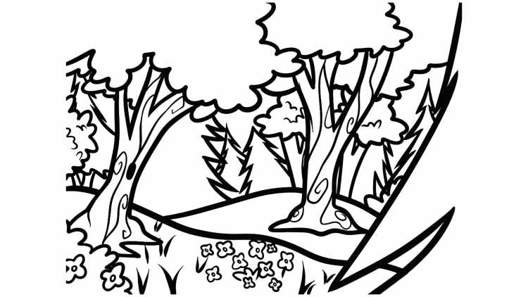 Лес рисунок