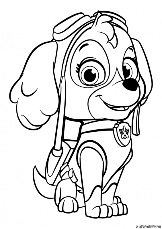 Раскраска Скай а4