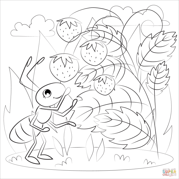 Муравей картинка для детей раскраска