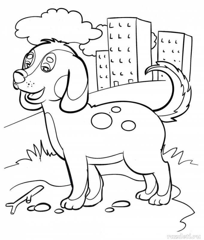 Умная собачка Соня Андрей Алексеевич усачёв