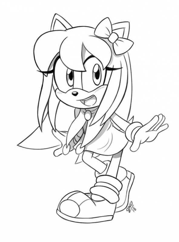 Раскраска принцесса Соник