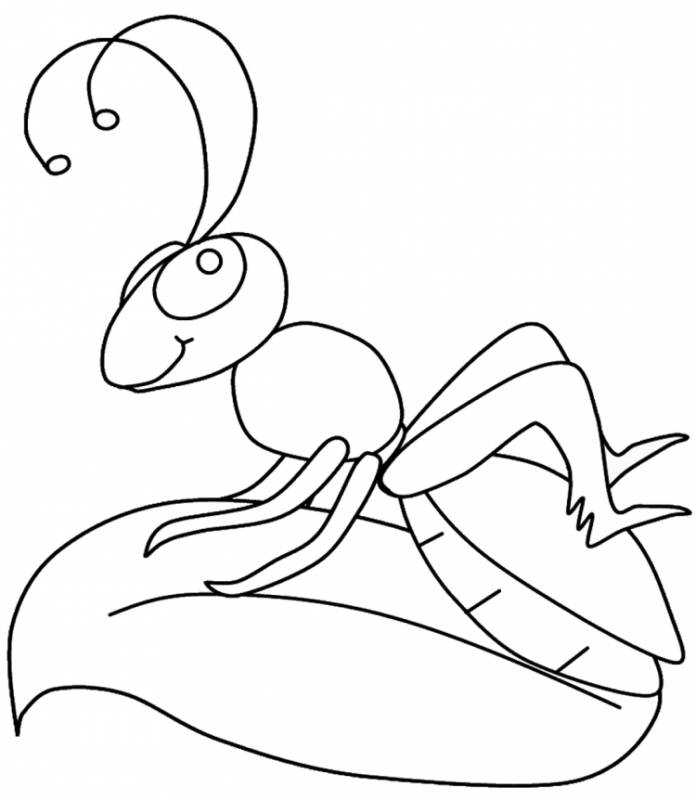 Стрекоза и муравей басня раскраска