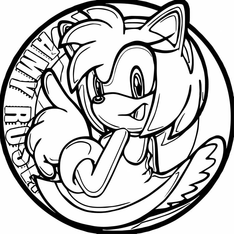 Раскраска Эми Роуз и Соник