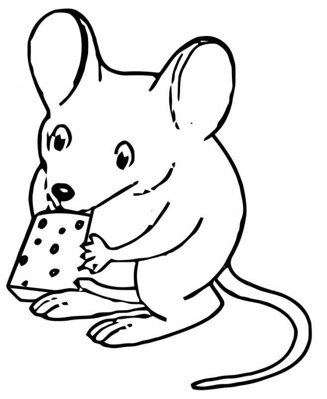 Мышонок для зарисовки новогодний