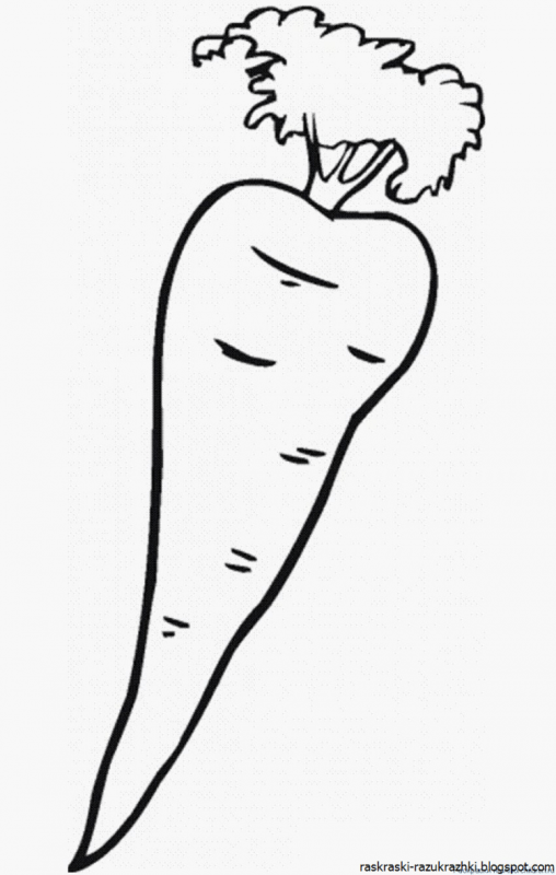 Контур овощей и фруктов