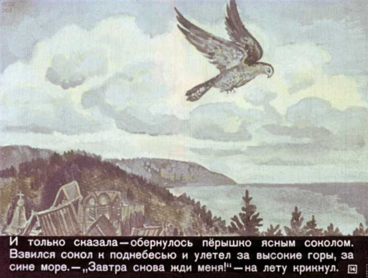 Сокол раскраска для детей