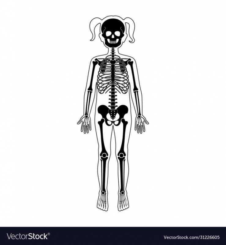 Рисунок модного скелета