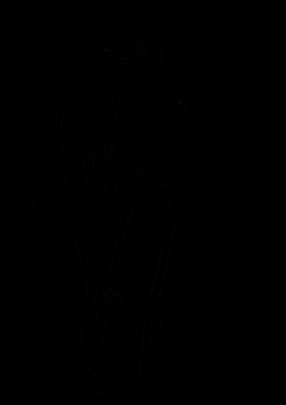 Мультик про скелетов для детей