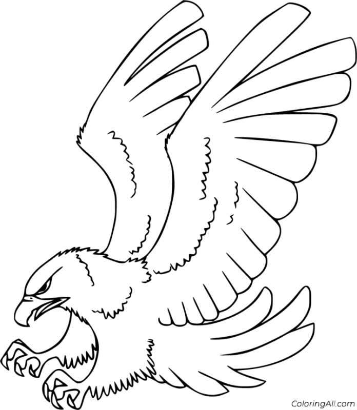 Раскраска все птицы из орлиных