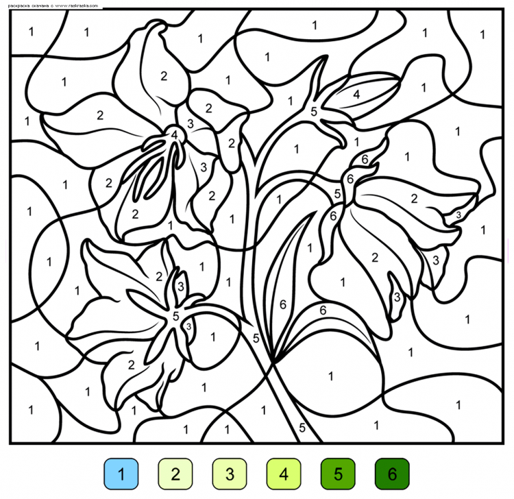 Раскраска про цифоркам