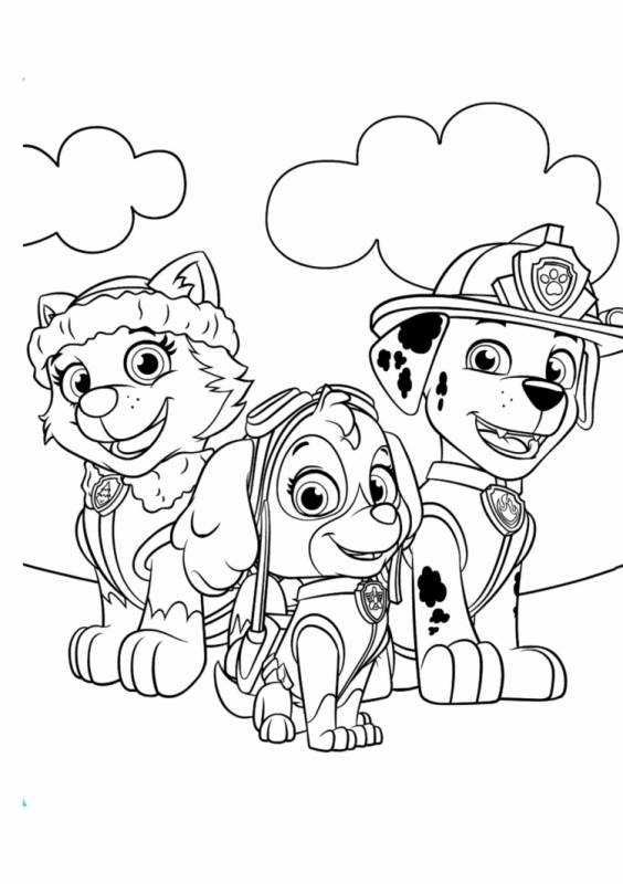 Раскраска Щенячий патруль Скай с хвостом русалки