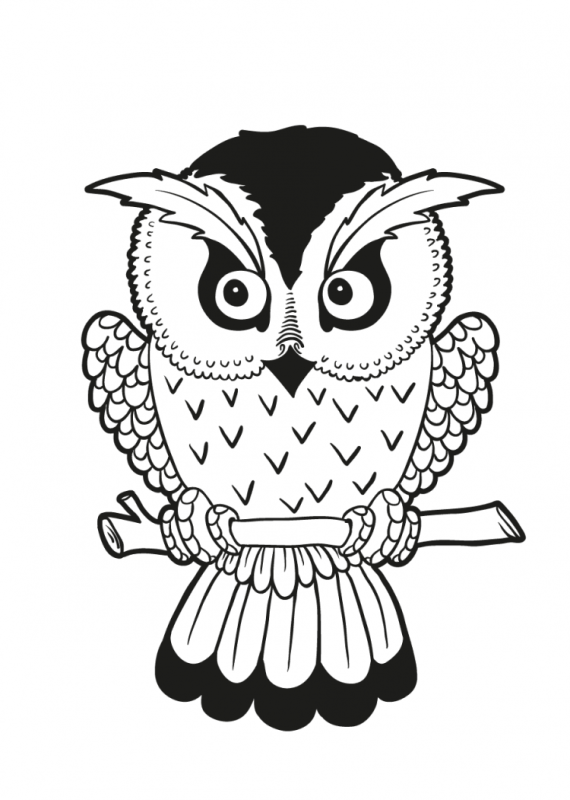 Раскраска с совушкой
