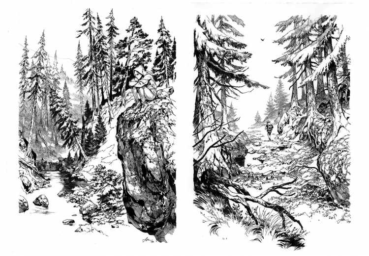 Лес тайги карандашом