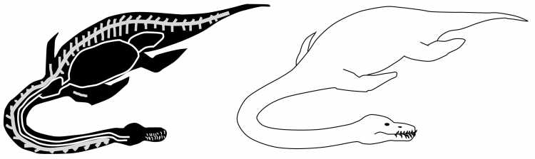 Плезиозавр рисунок