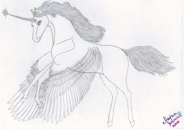 Красивые рисунки единорогов с крыльями