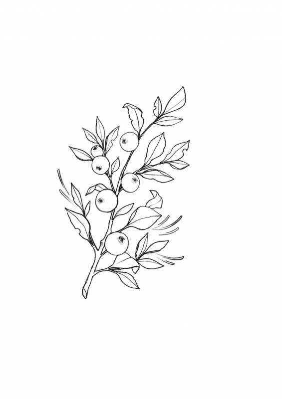 Веточка эскиз