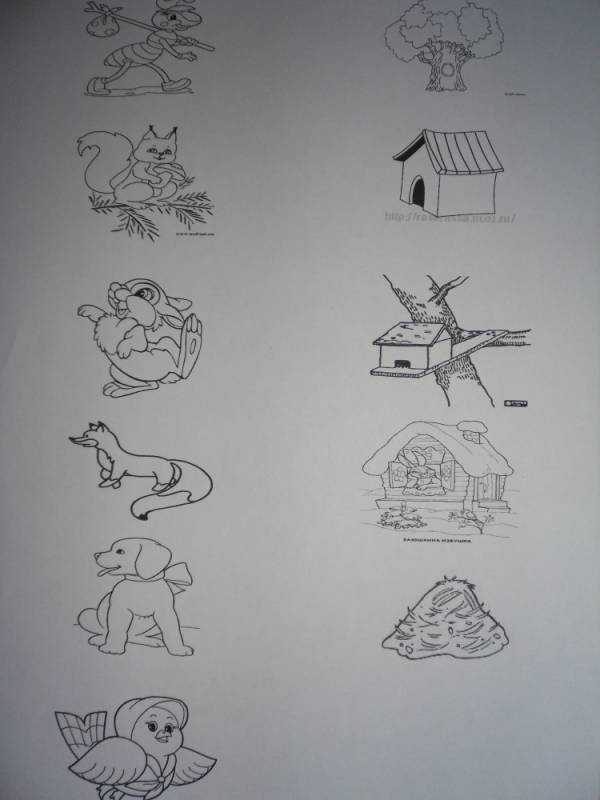 Раскраска. Заюшкина избушка