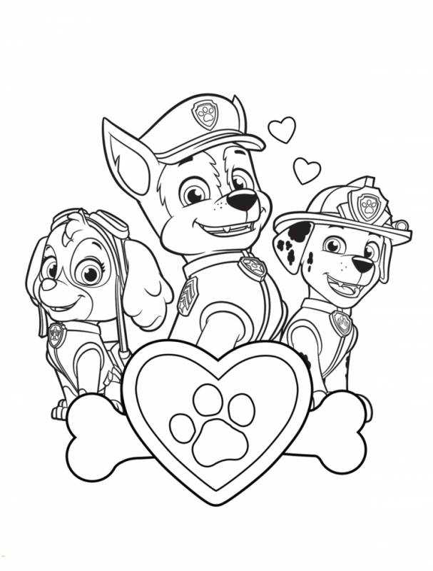 Скай гонщик Маршал раскраска