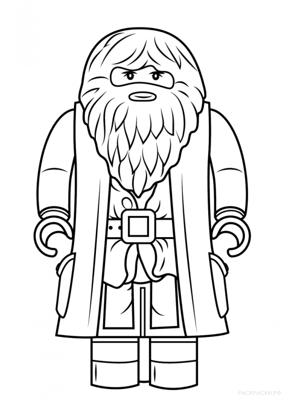Разукрашка Гарри Поттер лего