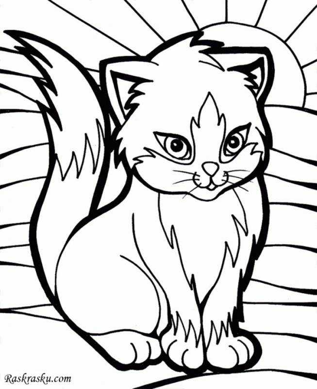 Котенок. Раскраска