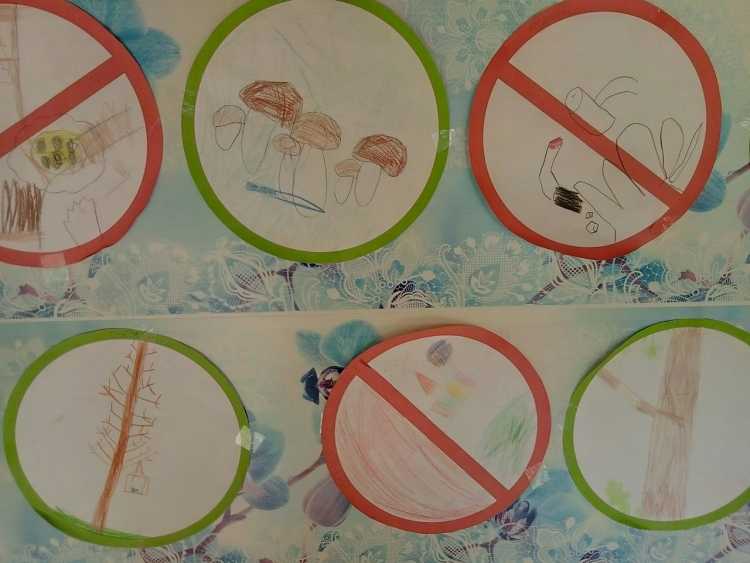 Правила поведения в лесу раскраска