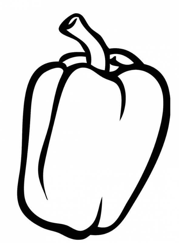Болгарский перец рисунок карандашом