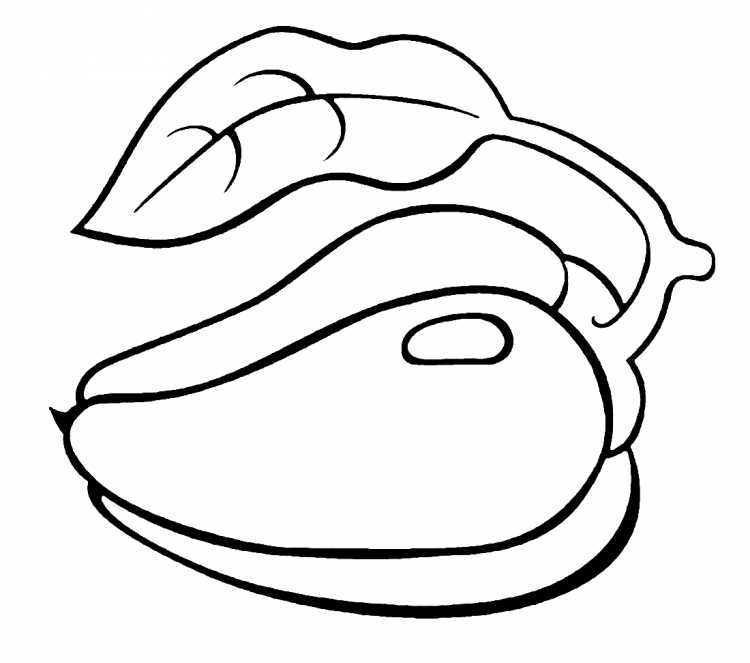 Болгарский перец вектор