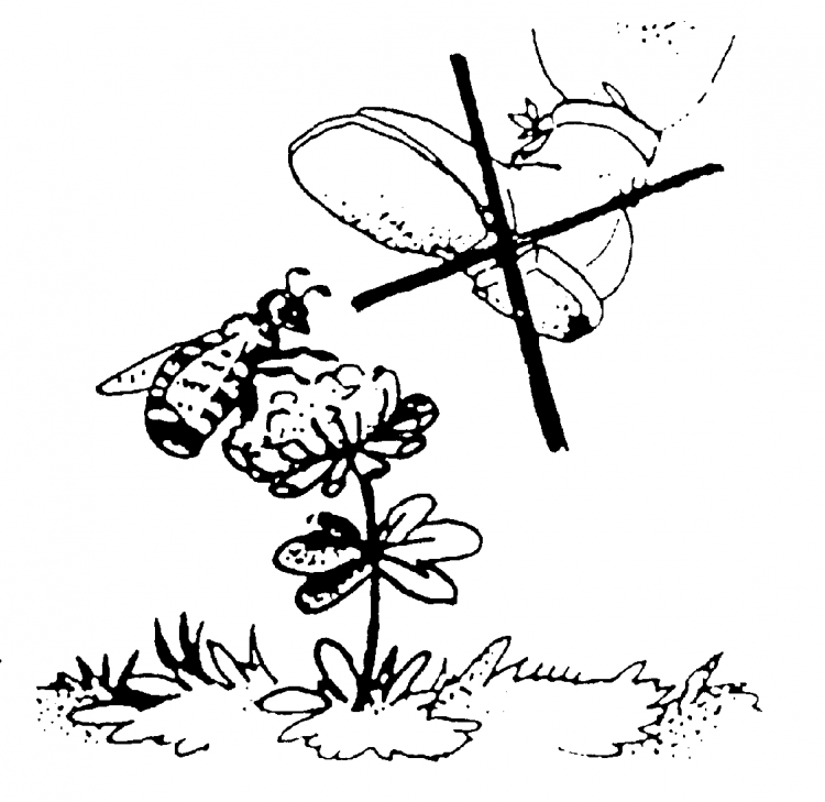 Запрещающие знаки черно белые