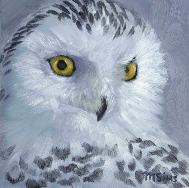 Совы Полярные