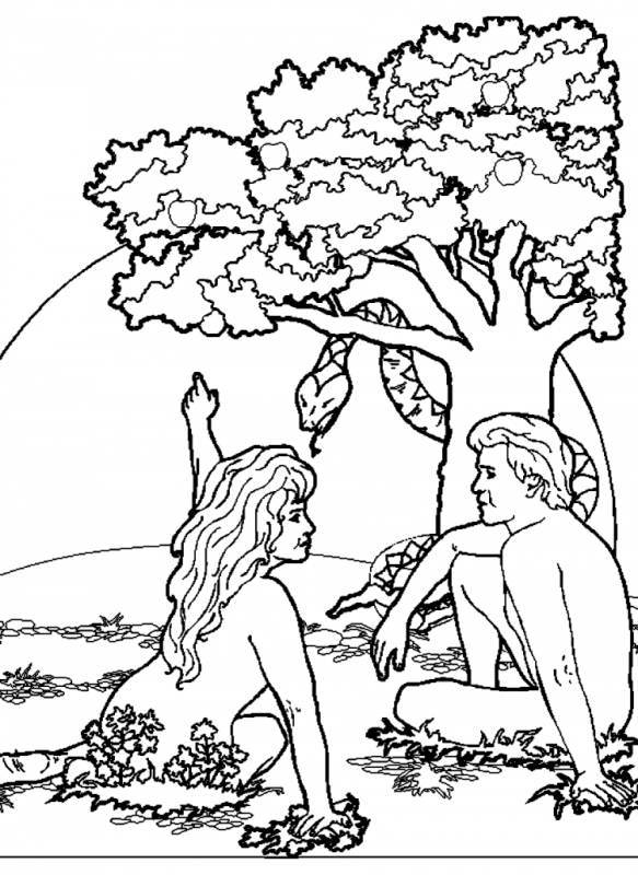 Раскраска мир