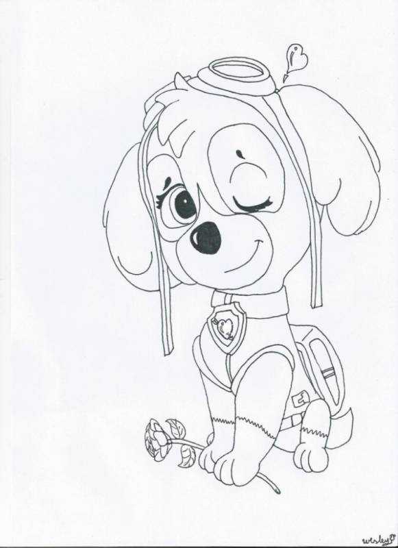Разукрашка Щенячий патруль Скай