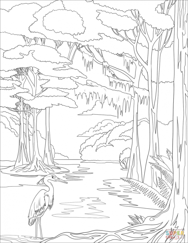 Раскраска пейзаж водопад