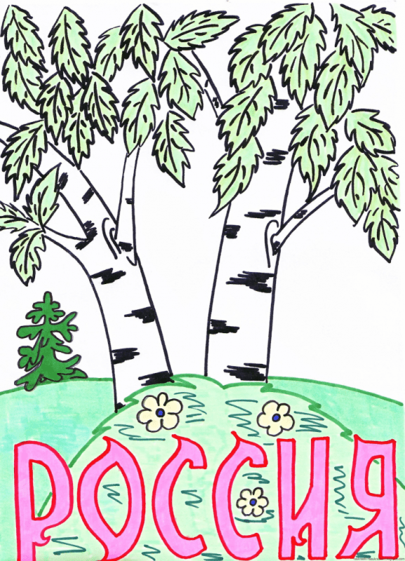 Береза рисунок