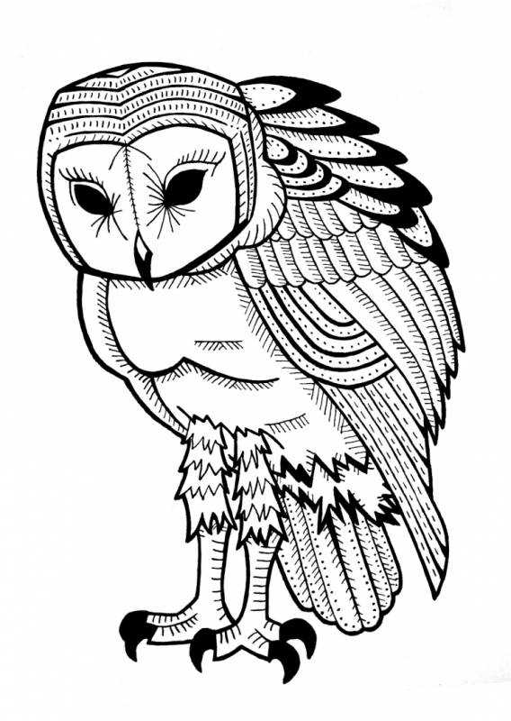 Раскраска сипуха