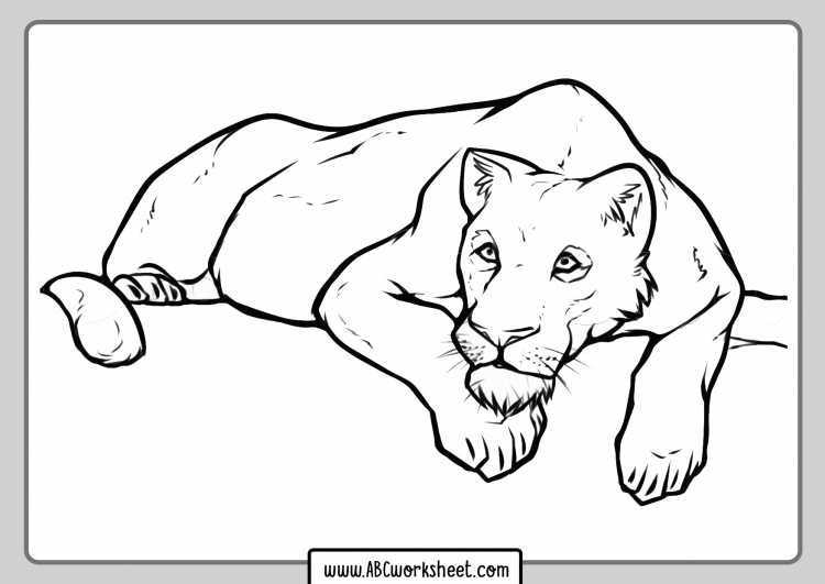 Львица рисунок карандашом