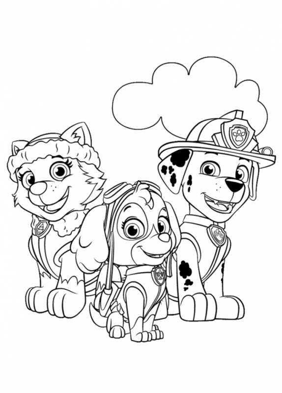 Раскраски Щенячий патруль Эверест и Скай