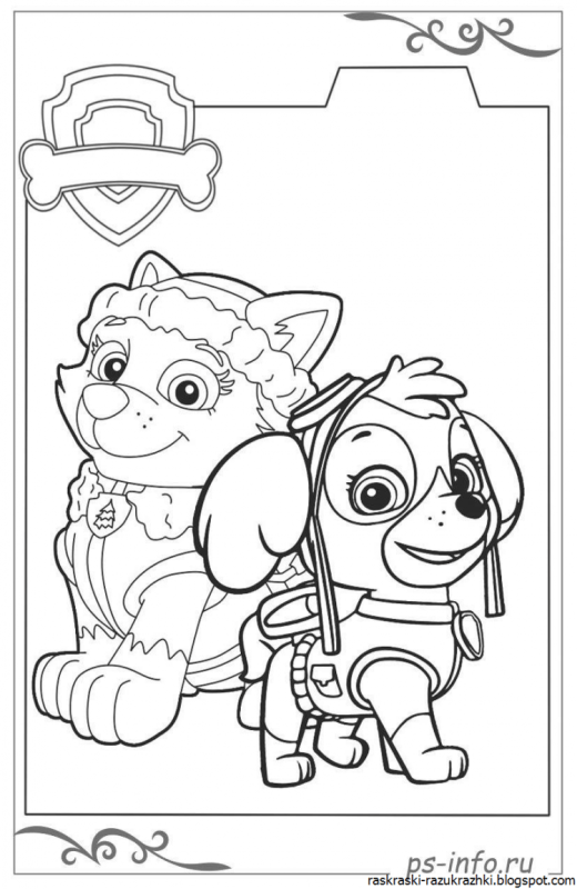 Раскраска Щенячий патруль Скай принцесса