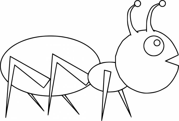 Ant colouring Sheet