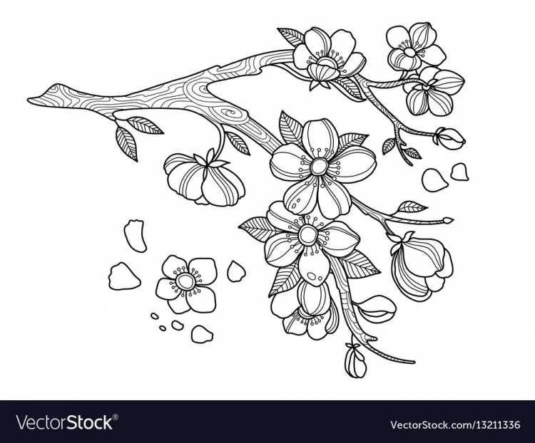 Ветка цветущей яблони трафарет