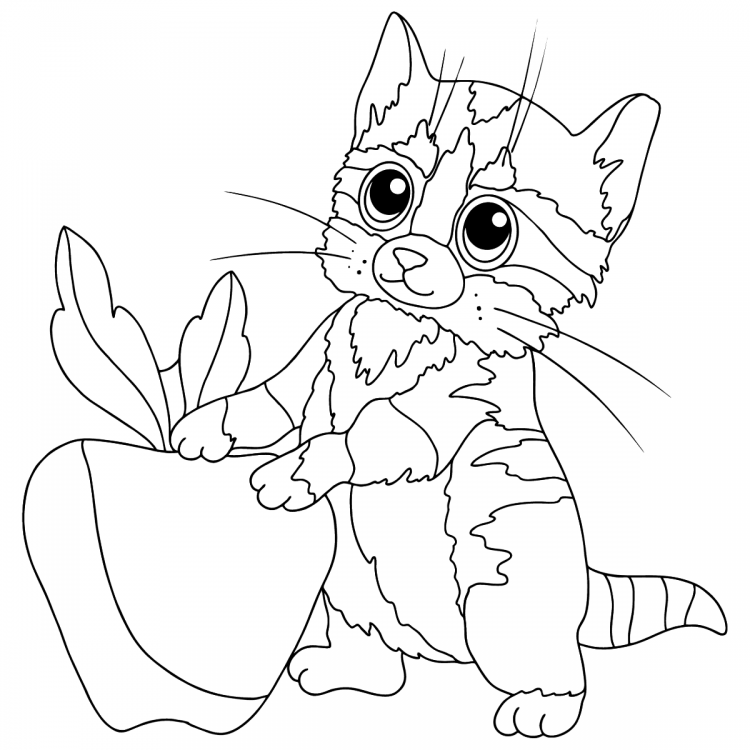 Котенок раскраска для малышей