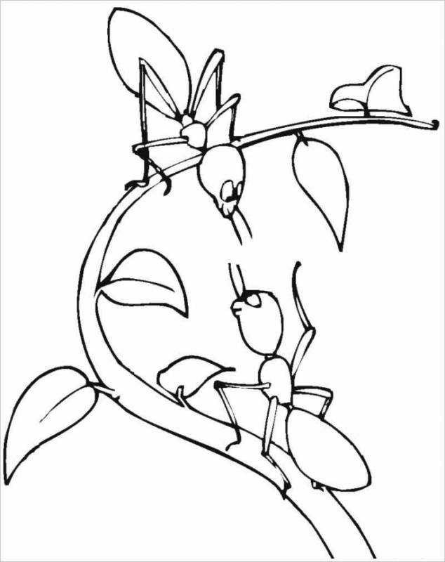 Муравьишка раскраска