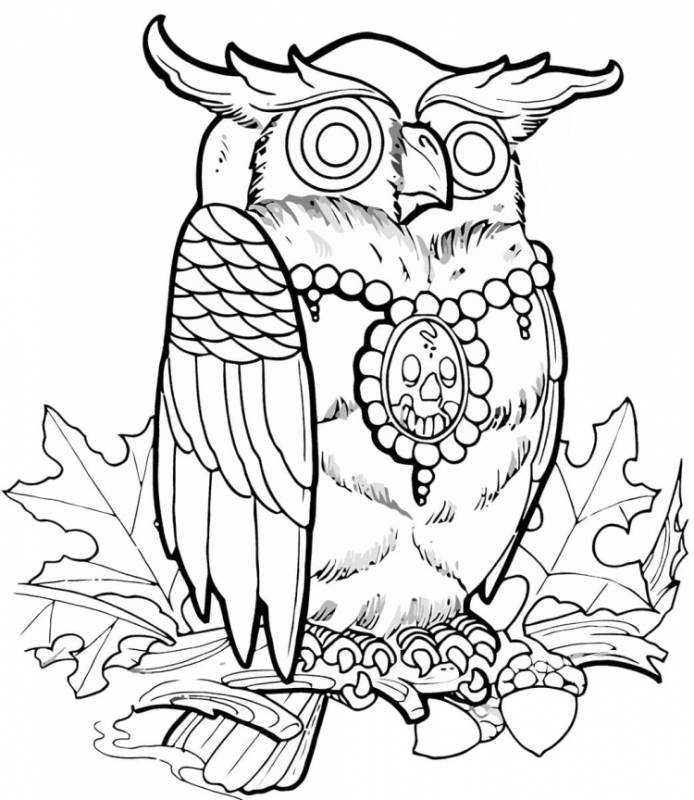 Сова с книгой