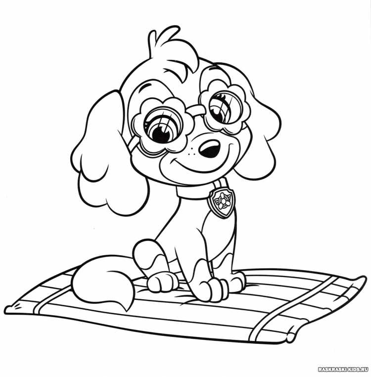 Скай Щенячий раскраска