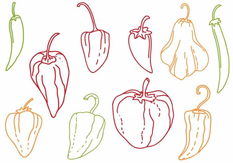 Овощи для раскрашивания