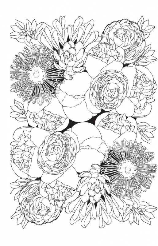 Черно белые цветы для распечатки